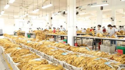 寧遠縣:&ldquo;三舉措&rdquo;破除農(nóng)村集體經(jīng)濟發(fā)展瓶頸